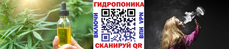 Cannafood конопля  Каменногорск 