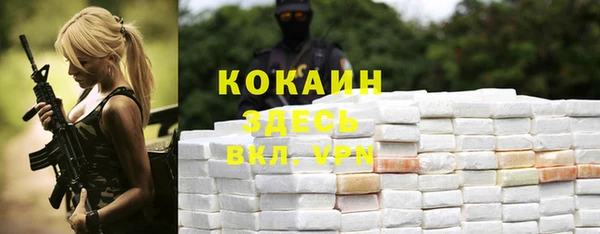 spice Козельск