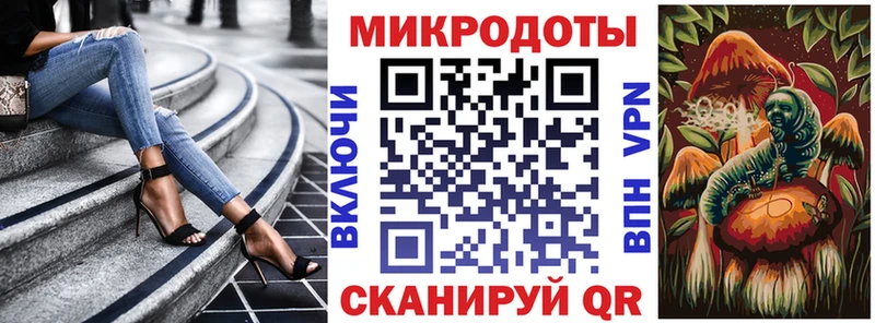 где купить   Каменногорск  Псилоцибиновые грибы GOLDEN TEACHER 